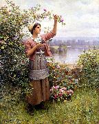 Daniel Ridgeway Knight Gathering Roses oil painting